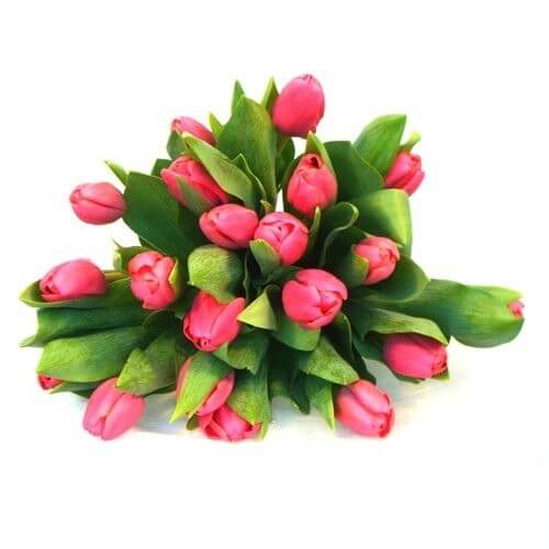 Bouquet di tulipani