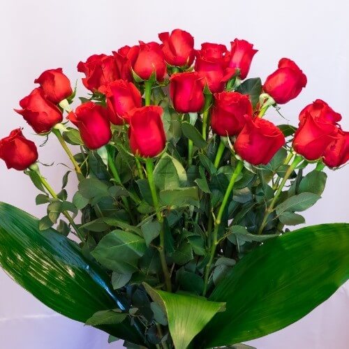 Rose rosse da comporre in mazzo con l'indicazione del numero di steli, confezionato con cura.