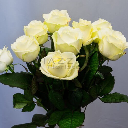 Rose bianche da comporre in mazzo con l&acute;indicazione del numero di steli, confezionato con cura.