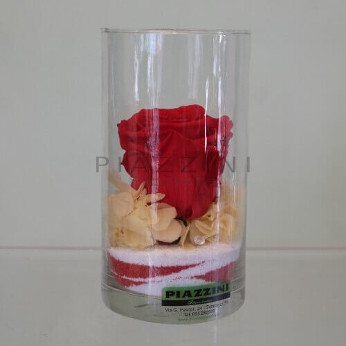 Rosa stabilizzata rossa cilindro piccolo