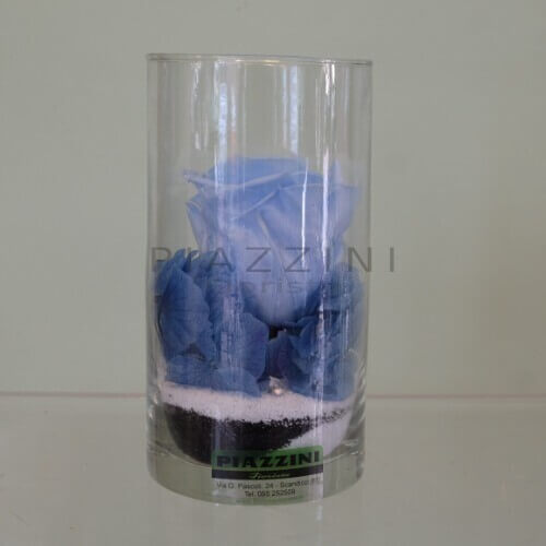 Rosa stabilizzata azzurra cilindro piccolo