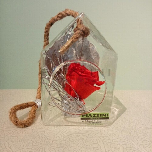 Casetta in vetro con rosa stabilizzata 