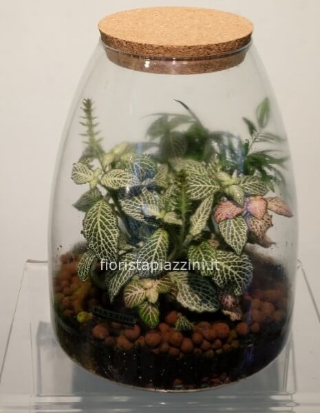 Terrario in vetro grande