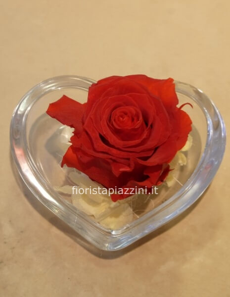 Cuore vetro con rosa stabilizzata
